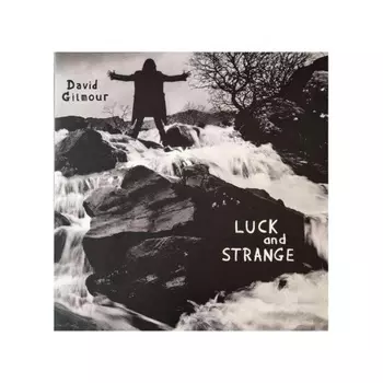 David Gilmour - Luck And Strange (0198028046114) виниловая пластинка