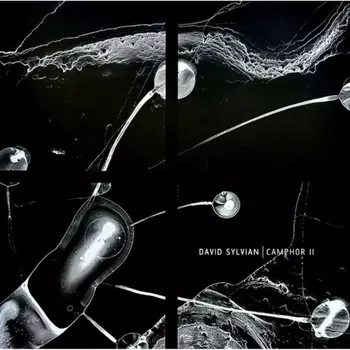 David Sylvian - Camphor II (coloured) (0602475268796) виниловая пластинка