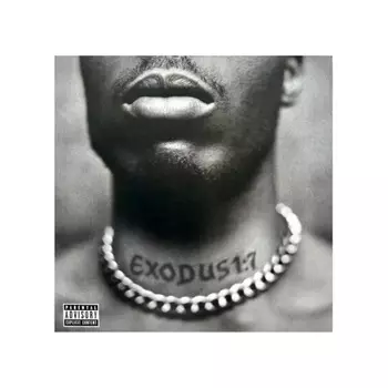 DMX - Exodus (0602438261345) виниловая пластинка