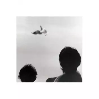 Federico Albanese - Before And Now Seems Infinite (0602435844725) виниловая пластинка