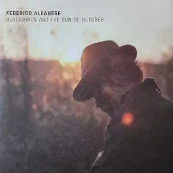 Federico Albanese - Blackbirds And The Sun Of October (0198028517911) виниловая пластинка
