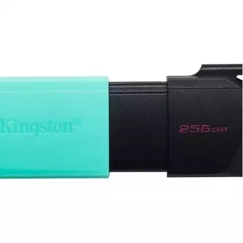 Флешка Kingston DataTraveler Exodia M 256Gb DTXM/256GB USB3.0 черный/зеленый
