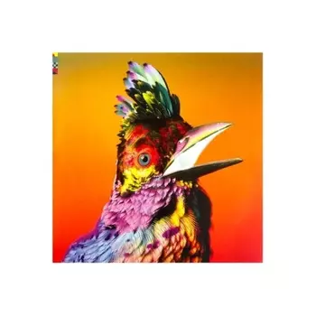 Flume - Palaces (5400863077853) виниловая пластинка