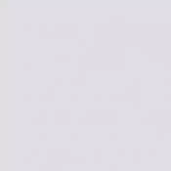 Фон бумажный Falcon Eyes BackDrop 2.72x10 светло-серый (42)