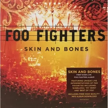 Foo Fighters - Skin and Bones (0886979832817) виниловая пластинка