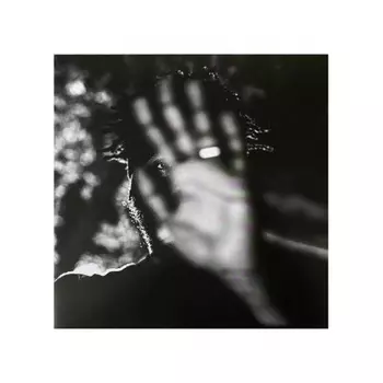 Gary Clark Jr. - Jpeg Raw (Deluxe) (93624847762) виниловая пластинка