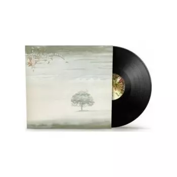 Genesis - Wind & Wuthering (2024 Vinyl Reissues) (0081227955311) виниловая пластинка