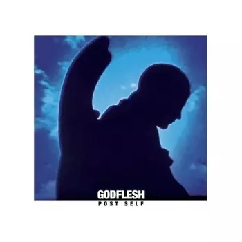 Godflesh - Post Self (Transparent Blue) (9506582943274) виниловая пластинка