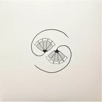 Godspeed You! Black Emperor - G_d's Pee At State's End! (0666561015619) виниловая пластинка