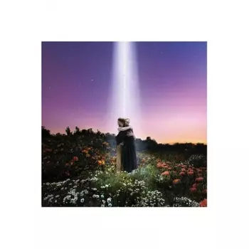 Honne - Let's Just Say The World Ended A Week From Now, What Would You Do? (coloured) (0190296684005) виниловая пластинка