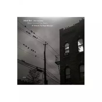 Jakob Bro & Joe Lovano - Once Around The Room (0602448386526) виниловая пластинка