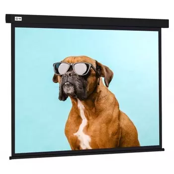 Экран Cactus 183x244см CS-PSW-183X244-BK 4:3 черный