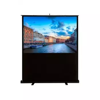 Экран напольный Cactus FloorCompactExpert CS-PSFLCE-160X90