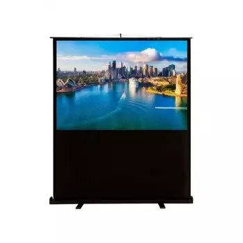 Экран напольный Cactus FloorCompactExpert CS-PSFLCE-160X120