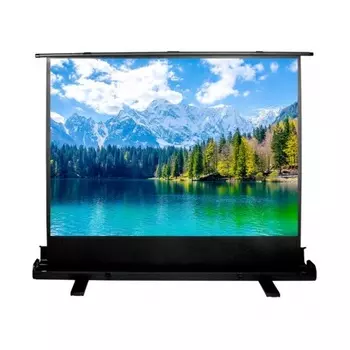 Экран напольный Cactus FloorExpert CS-PSFLE-160X90