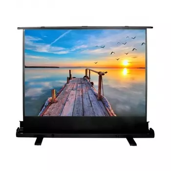 Экран напольный Cactus FloorExpert CS-PSFLE-200X113