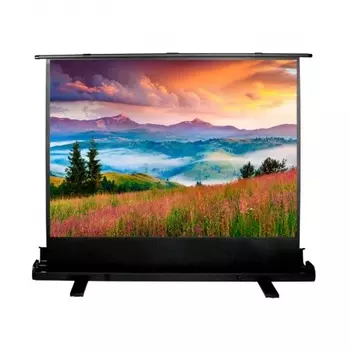 Экран напольный Cactus FloorExpert CS-PSFLE-120X68