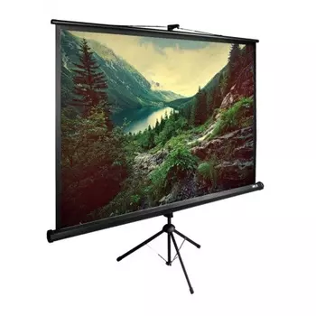 Экран напольный Cactus TriExpert CS-PSTE-220X220-BK черный