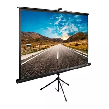 Экран напольный Cactus TriExpert CS-PSTE-160X160-BK черный