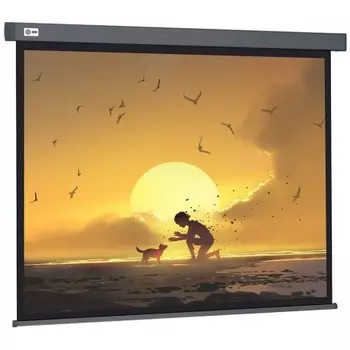Экран настенно-потолочный Cactus 124.5x221см, 16:9 Wallscreen CS-PSW-124X221-SG серый (CS-PSW-124X221-SG)