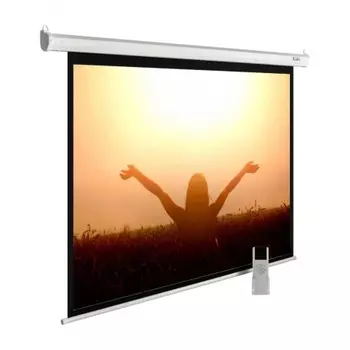 Экран настенно-потолочный Cactus MotoExpert CS-PSME-220X165-WT белый