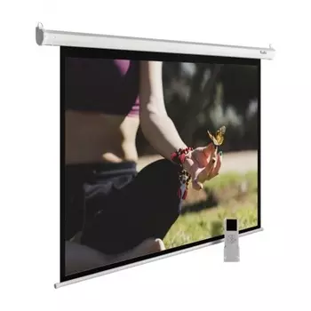 Экран настенно-потолочный Cactus MotoExpert CS-PSME-200X200-WT белый