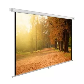 Экран настенно-потолочный Cactus WallExpert CS-PSWE-200X125-WT
