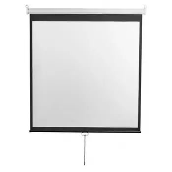 Экран настенно-потолочный Digis Optimal-D DSOD-1107 240x240