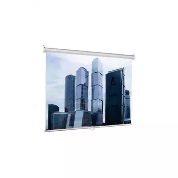 Экран настенно-потолочный Lumien Eco Picture LEP-100113 153x203