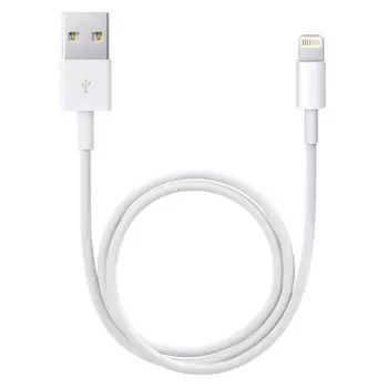 Кабель Apple USB - Lightning 0.5м (ME291ZM/A)