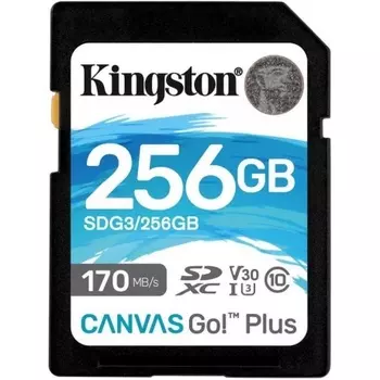 Карта памяти Kingston SDG3/256GB