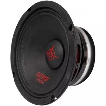 Колонки автомобильные Ural АС-ПТ165 ГРОМ (без решетки) 300Вт 99.5дБ 4Ом 16.5см (6 1/2дюйм) (ком.:1кол.) широкополосные однополосные