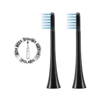 Насадка для зубной щетки Polaris TBH 0105 MP (монопучковая), графитовая, 2 шт.