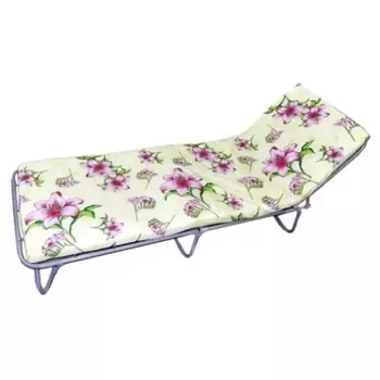 Кровать раскладная "Стандарт-М20"матрас 2 см, макс.нагр.80кг (195*65*26 см)