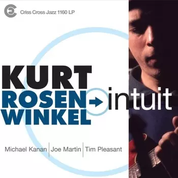 Kurt Rosenwinkel - Intuit (Audiophile Edition) (8435395503515) виниловая пластинка