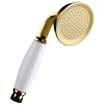 Лейка душевая Lemark 1-функциональная (LM8007G)