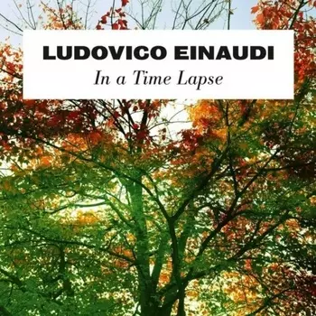 Ludovico Einaudi - In A Time Lapse (8030482001204) виниловая пластинка