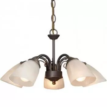 Люстра VITALUCE V3197/5