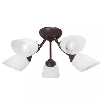 Люстра VITALUCE V3404/5PL