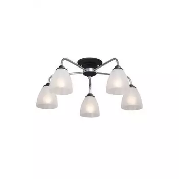 Люстра Vitaluce V3946-1/5PL, 5xE14 макс. 40Вт, плафон ПП