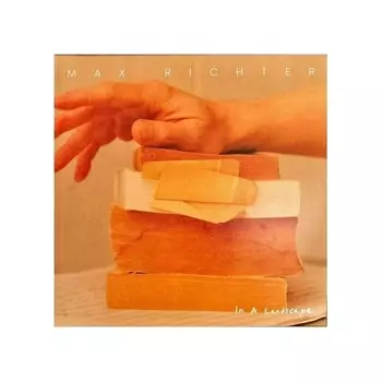 Max Richter - In A Landscape (0602458823523) виниловая пластинка