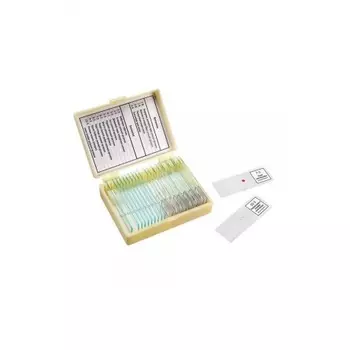 Набор препаратов "Ботаника и зоология" (14 обр.)