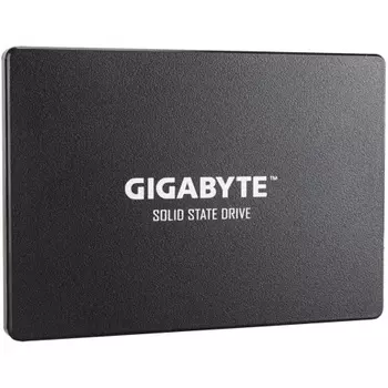 Накопитель SSD GigaByte 256Gb (GP-GSTFS31256GTND)