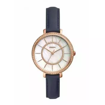 Наручные часы Fossil ES4456