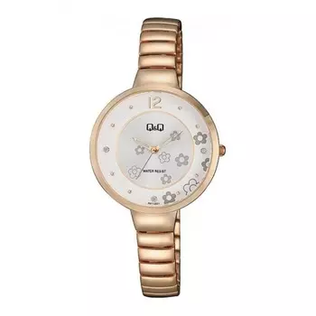 Наручные часы Q&Q F611-021