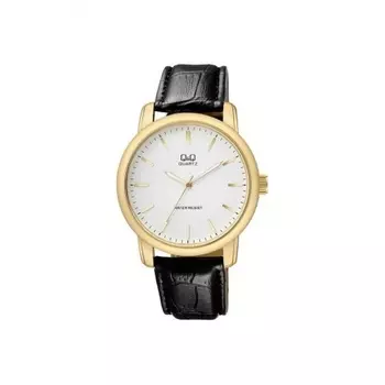 Наручные часы Q&Q Q868-101