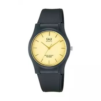Наручные часы Q&Q VQ02-002