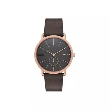 Наручные часы Skagen Leather SKW6213
