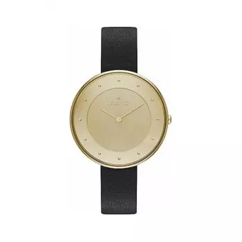 Наручные часы Skagen SKW2262