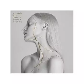 Nothing But Thieves, Broken Machine (0889854370312) виниловая пластинка